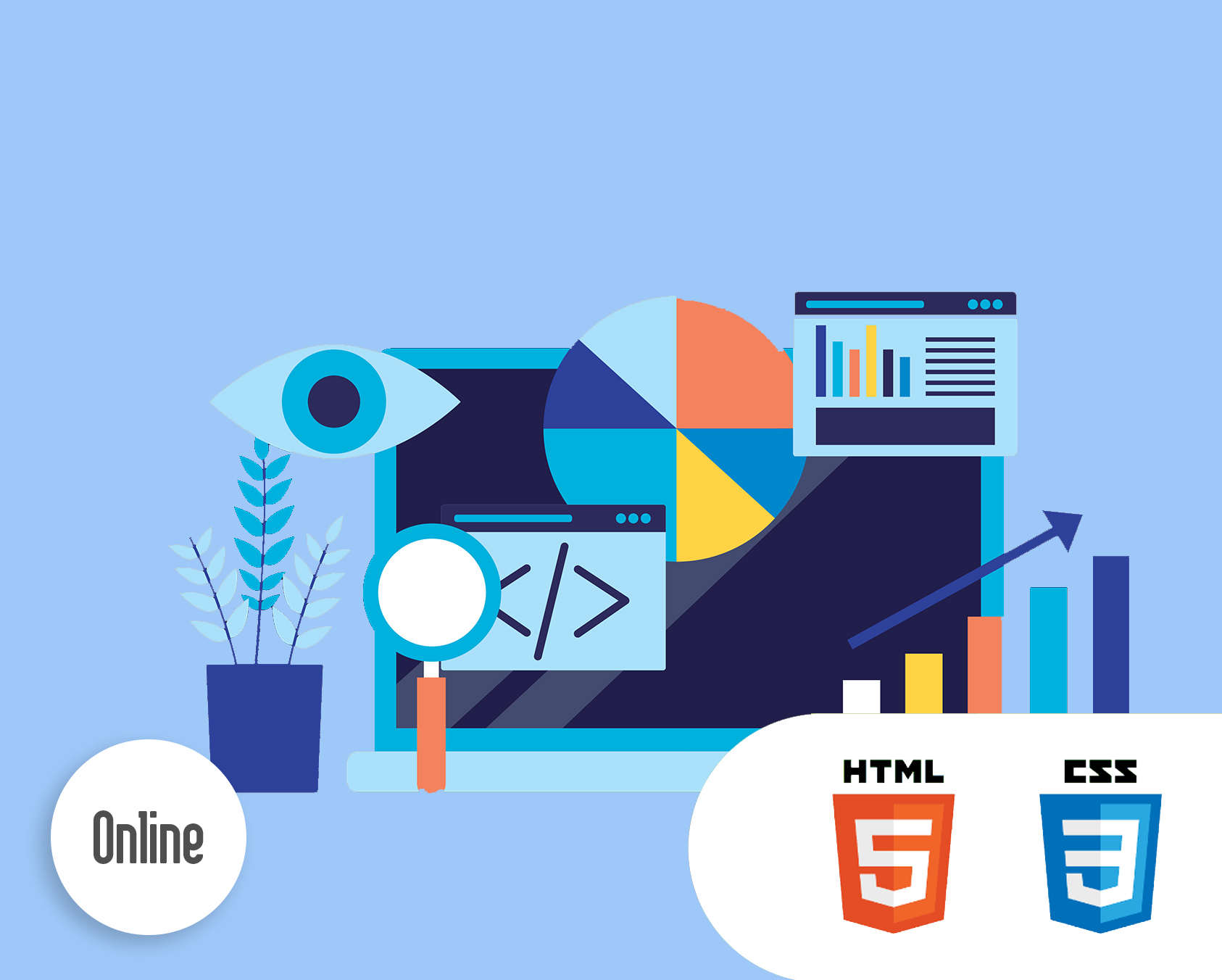 Curso online - Joven desarrollador avanzado de páginas web 
